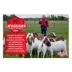 Kalmbach Feeds® Goat Protein Block Supplement image thumbnail 4