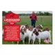 Product Kalmbach Feeds® Goat Protein Block Supplement