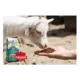 Product Kalmbach Feeds® Soy-Free Goat Granola® Extraordinary Goat Feed