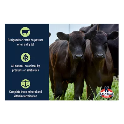 Product Kalmbach Feeds® 14% Stocker Grower Cattle Feed