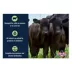 Kalmbach Feeds® 14% Stocker Grower Cattle Feed image thumbnail 3