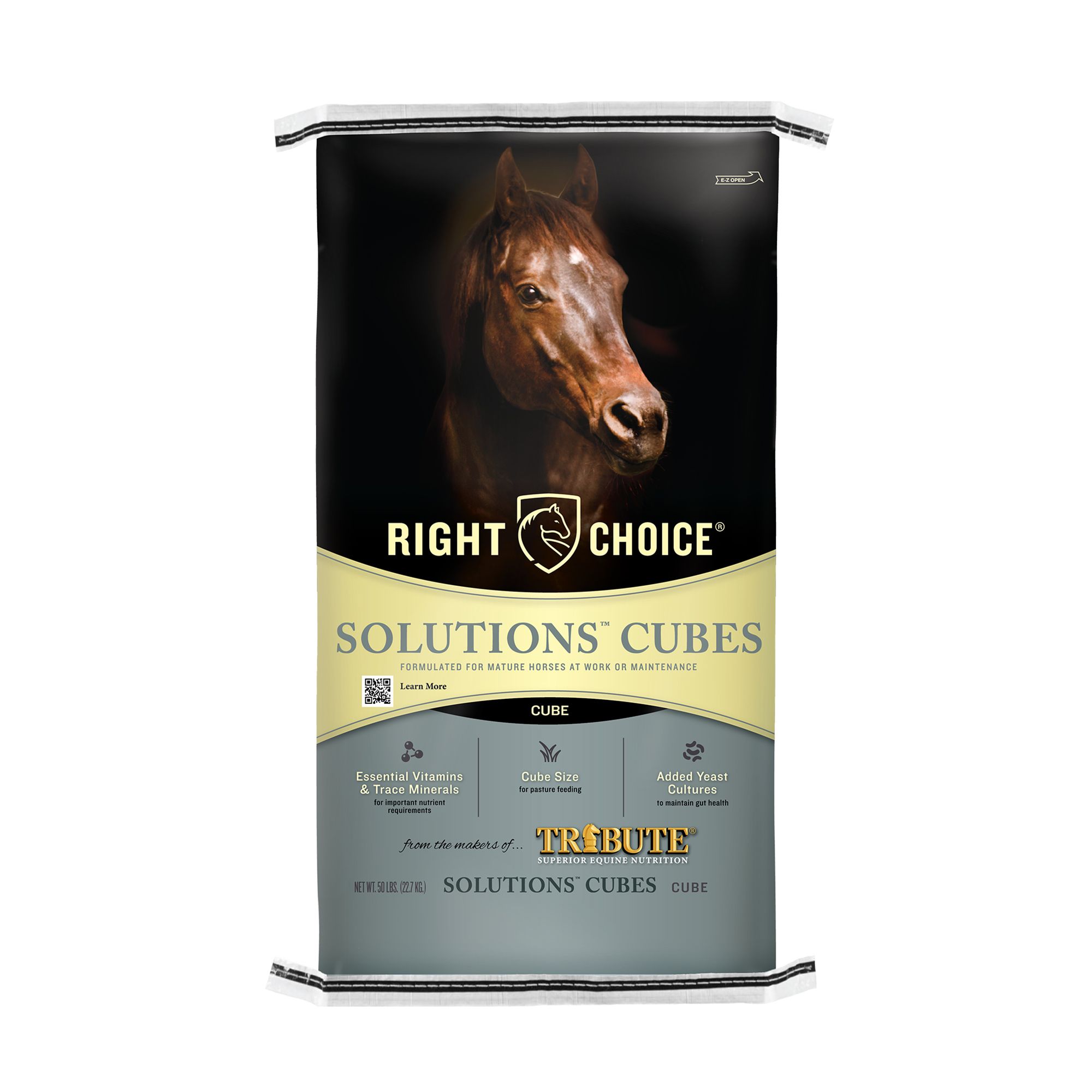 Right Choice® Solutions Cubes for Horses