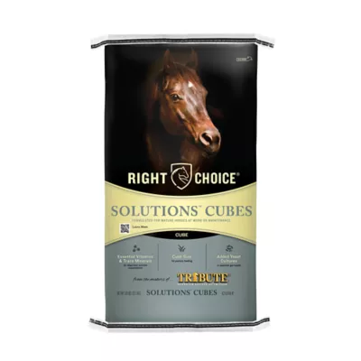 Product Right Choice® Solutions Cubes for Horses