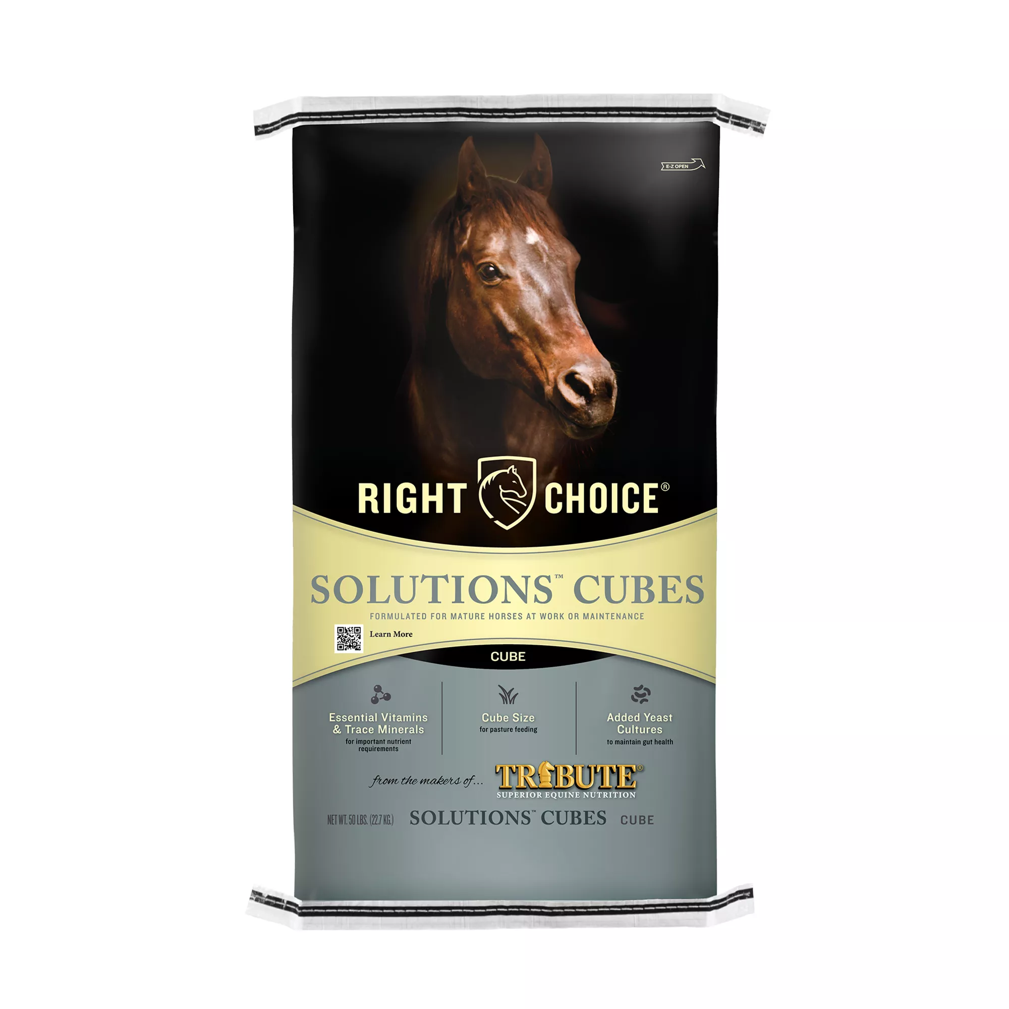 Right Choice® Solutions Cubes for Horses