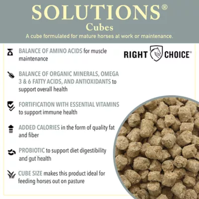 Product Right Choice® Solutions Cubes for Horses