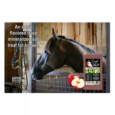 Product Sweet N Salty Apple Salt Brick for Horses