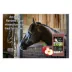 Sweet N Salty Apple Salt Brick for Horses image thumbnail 3