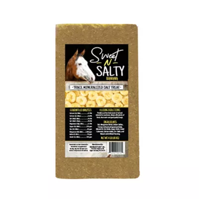 Product Sweet N Salty Banana Salt Brick for Horses