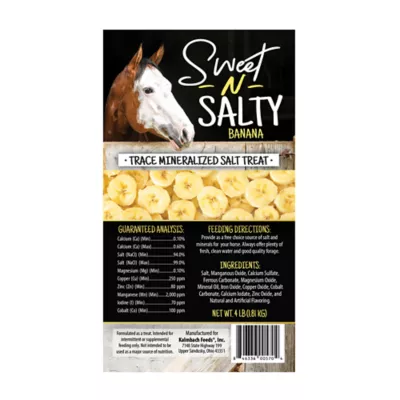 Product Sweet N Salty Banana Salt Brick for Horses