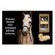 Product Sweet N Salty Banana Salt Brick for Horses