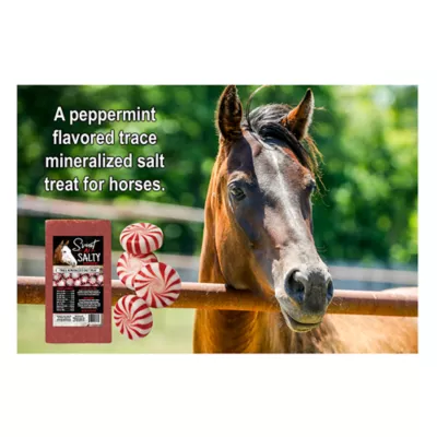 Product Sweet N Salty Peppermint Salt Brick for Horses