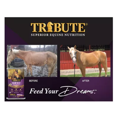 Product Tribute Equine Nutrition® Kalm N EZ® Pellets