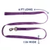 Top Paw® Nylon Dog Leash: 6-ft long image thumbnail 2