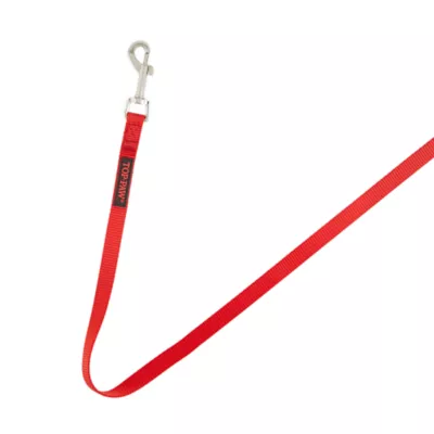 Top Paw® Standard Dog Leash, Multiple Sizes & Colors, 6' Long - Image 5