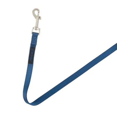 Product Top Paw® Standard Dog Leash: 6-ft long