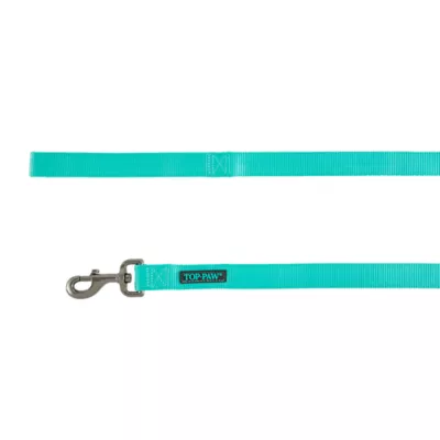 Top Paw Nylon 6 x 5 8 Teal Dog Leash PetSmart