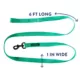 Product Top Paw® Nylon Dog Leash: 6-ft long