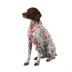 Top Paw® Basic Nylon Dog Harness image thumbnail 1