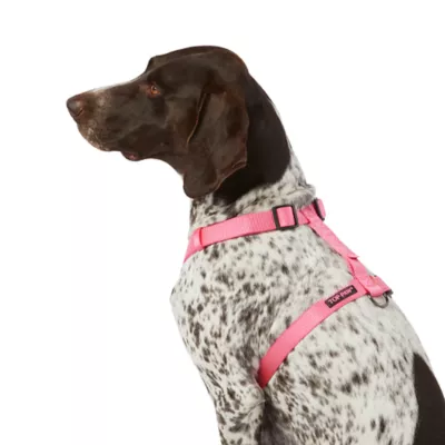Product Top Paw® Basic Nylon Dog Harness