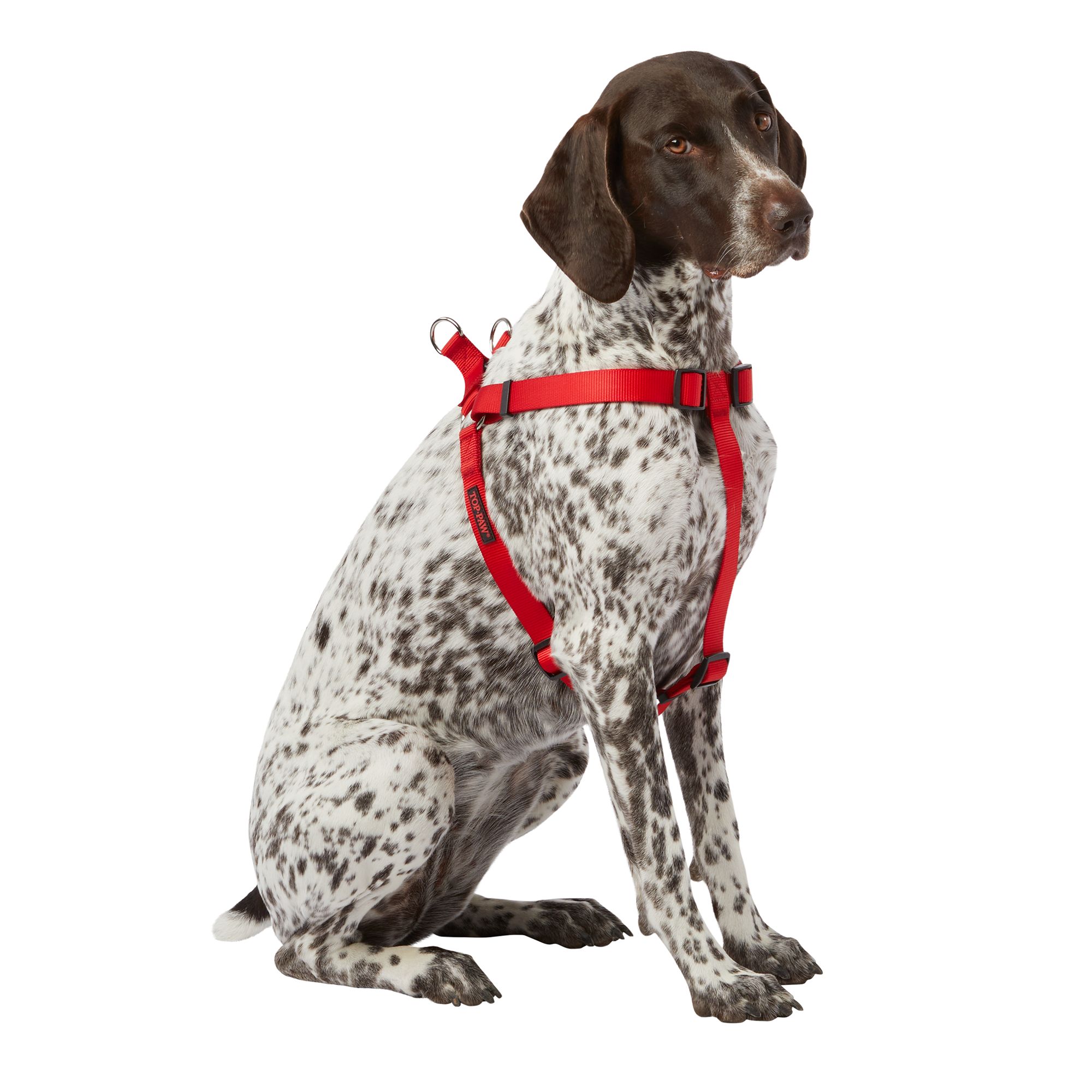 Petsmart top paw harness best sale