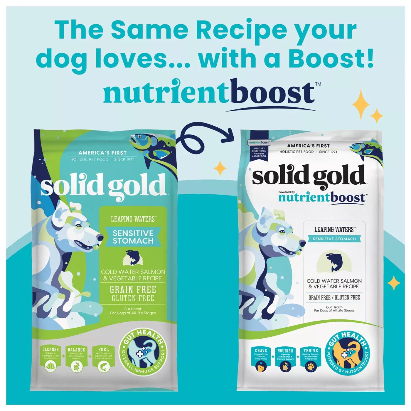 Solid Gold Nutrientboost Leaping Waters All Life Stage Dry Dog Food Salmon