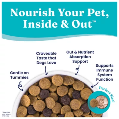 Product Solid Gold Nutrientboost Leaping Waters All Life Stage Dry Dog Food - Salmon