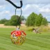Gift Essentials Multi-Colored Glass Hummingbird Feeder image thumbnail 2