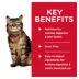 Hill's Science Diet Sensitive Stomach & Skin Cat Food - Tuna & Vegetable Entree image thumbnail 4
