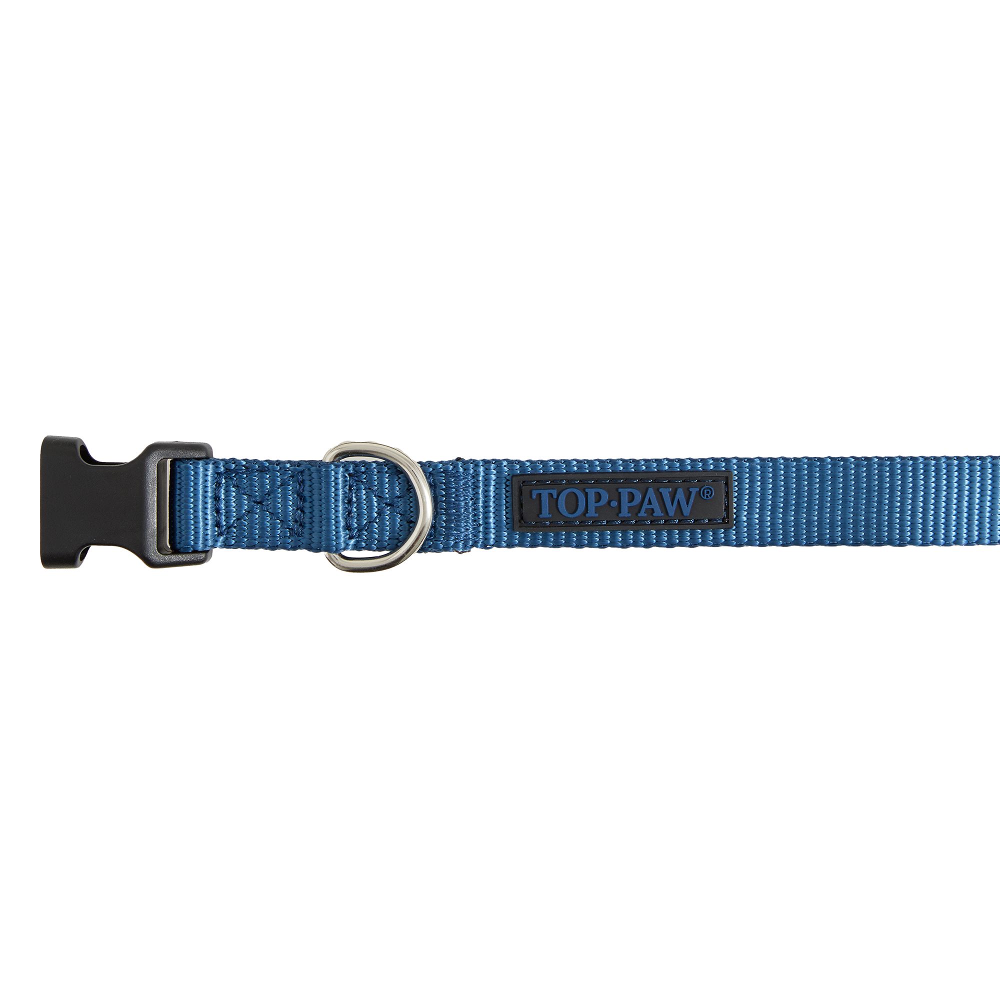 Top paw cheap collar petsmart