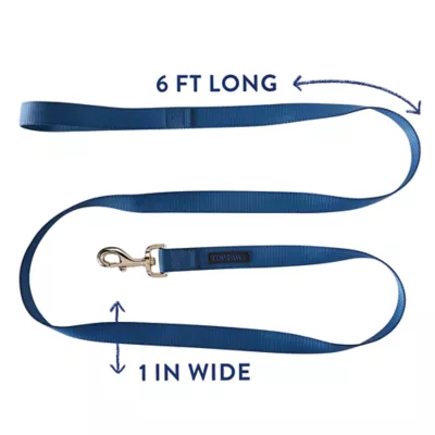 Product Top Paw® Standard Dog Leash: 6-ft long