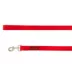 Top Paw® Standard Dog Leash, Multiple Sizes & Colors, 6' Long image thumbnail 1