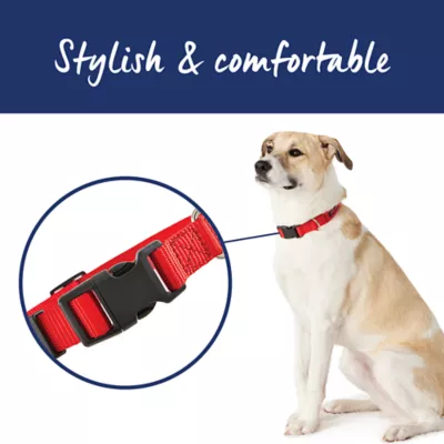 Top Paw® Signature Adjustable Dog Collar - Image 2