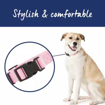 Top Paw® Signature Adjustable Dog Collar - Image 2