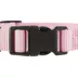 Top Paw® Signature Adjustable Dog Collar image thumbnail 5