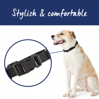 Top Paw® Signature Dog Collar, Adjustable, Comfortable, Durable, Multiple Sizes, Multiple Colors - Image 2