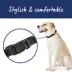 Top Paw® Signature Dog Collar, Adjustable, Comfortable, Durable, Multiple Sizes, Multiple Colors image thumbnail 2
