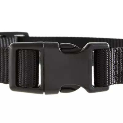 Top Paw® Signature Dog Collar, Adjustable, Comfortable, Durable, Multiple Sizes, Multiple Colors - Image 5