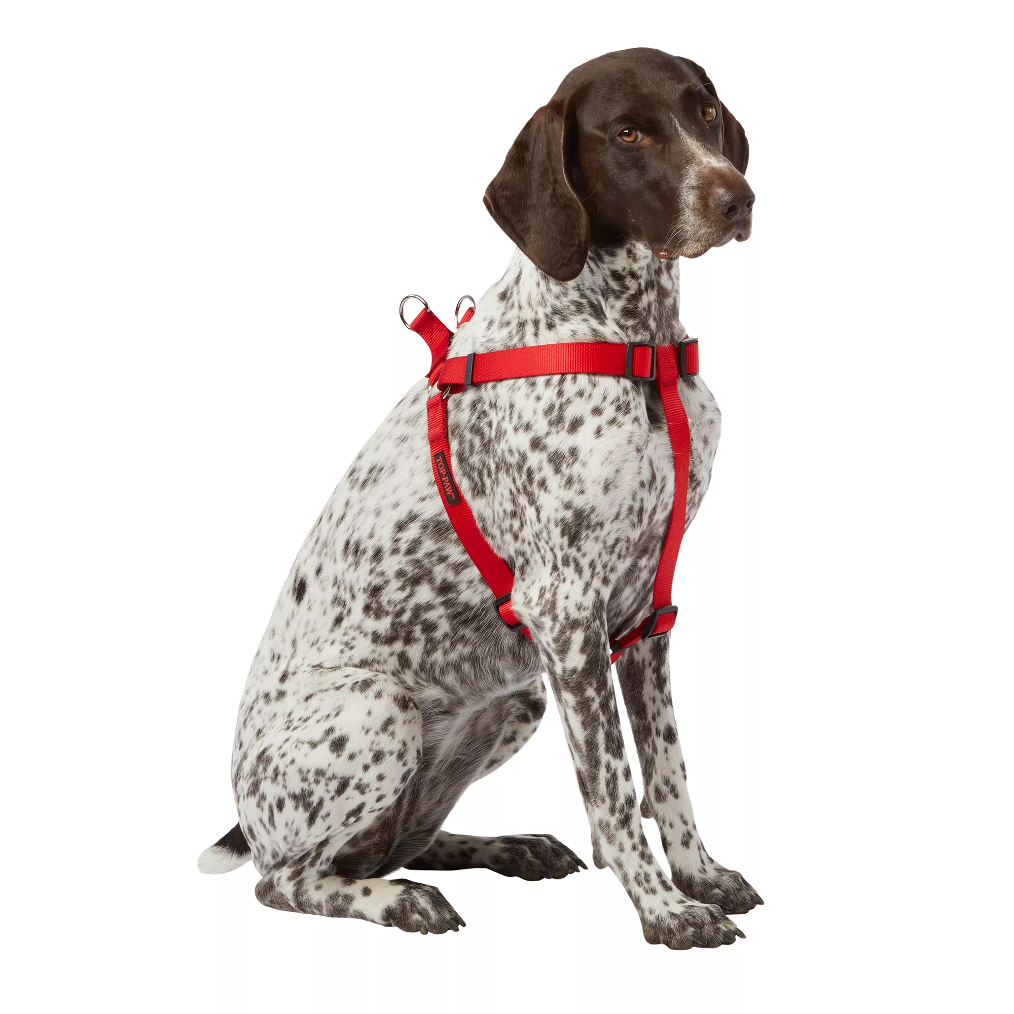 Top Paw® Basic Step-In Dog Harness