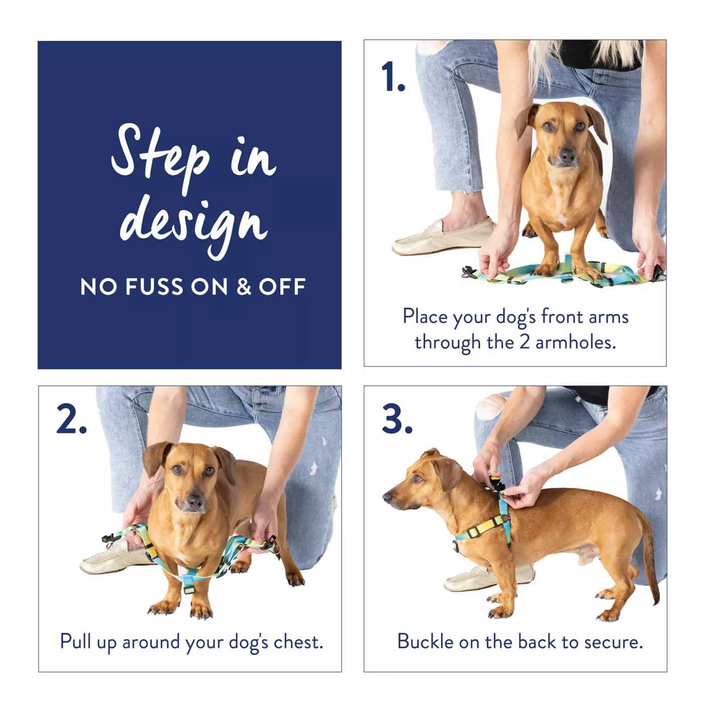 Paw step in dog harness fashion