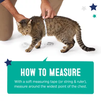 Whisker City® Pink & Gold Cat Leash & Harness Combo - Image 6