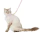 Product Whisker City® Pink & Gold Cat Leash & Harness Combo