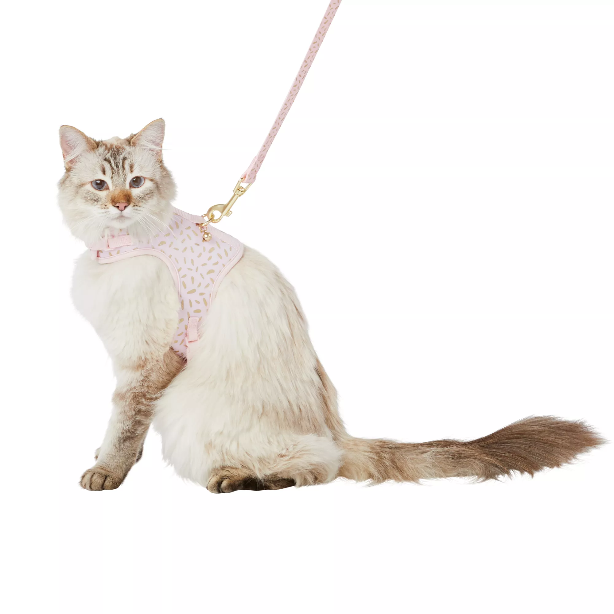 Cat Harnesses & Cat Leash Combos | PetSmart