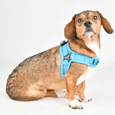 Puppia® Soft Superior "X" Dog Harness - Image 3
