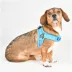 Puppia® Soft Superior "X" Dog Harness image thumbnail 3