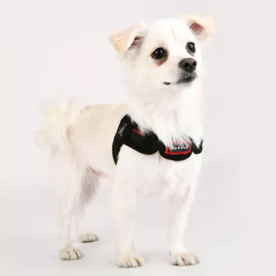 Product Puppia® Soft Superior "X" Dog Harness