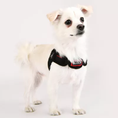 Puppia® Soft Superior "X" Dog Harness - Image 3