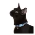 Whisker City® Blue Checkered Easy Release Kitten & Cat Collar image thumbnail 2