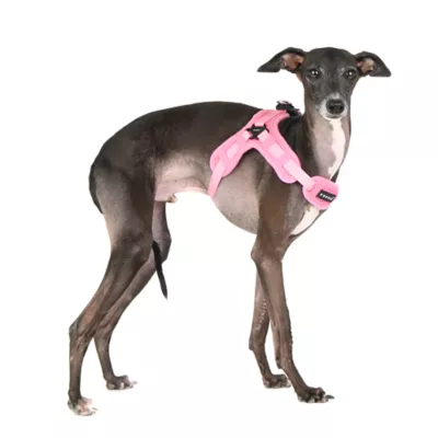 Puppia® Soft Superior "X" Dog Harness - Image 3