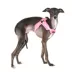 Puppia® Soft Superior "X" Dog Harness image thumbnail 3