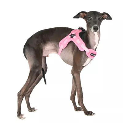 Puppia® Soft Superior "X" Dog Harness - Image 3